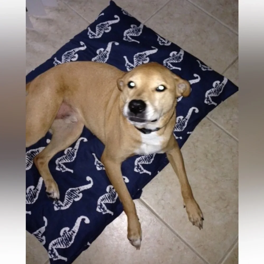 For Your Love of Dogs Navy Seahorse Dog Bed Cover